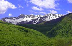 parco nazionale d'abruzzo